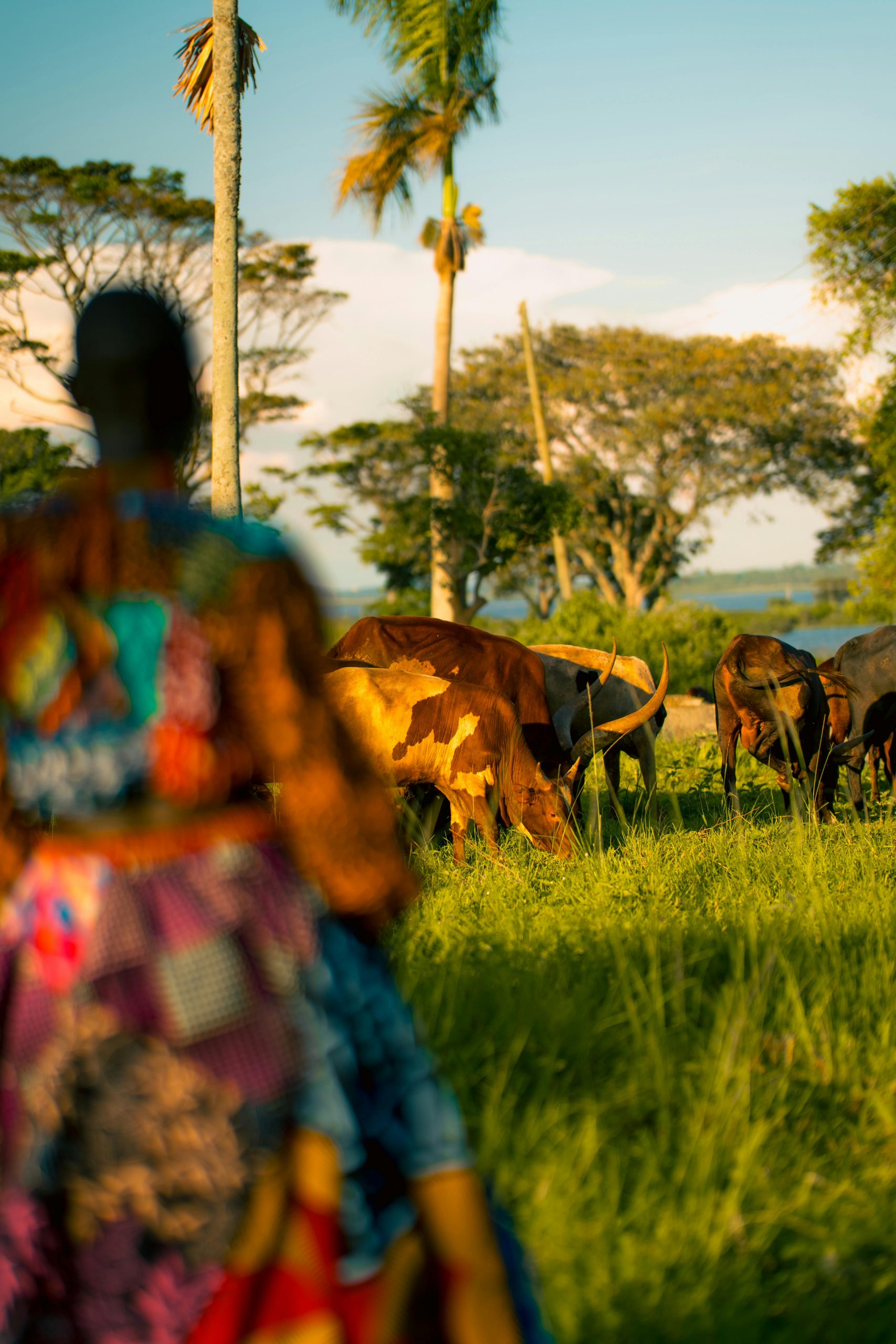 Cultural Village Tours